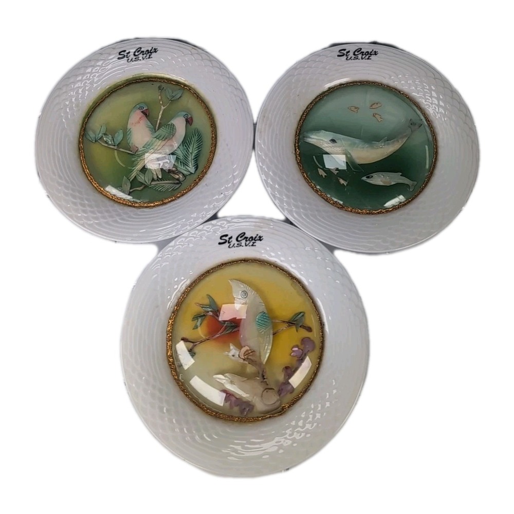 Vintage St. Croix Set Of 3 Plates Souvenir 3D Bubble Glass Mother Of Pearl Birds